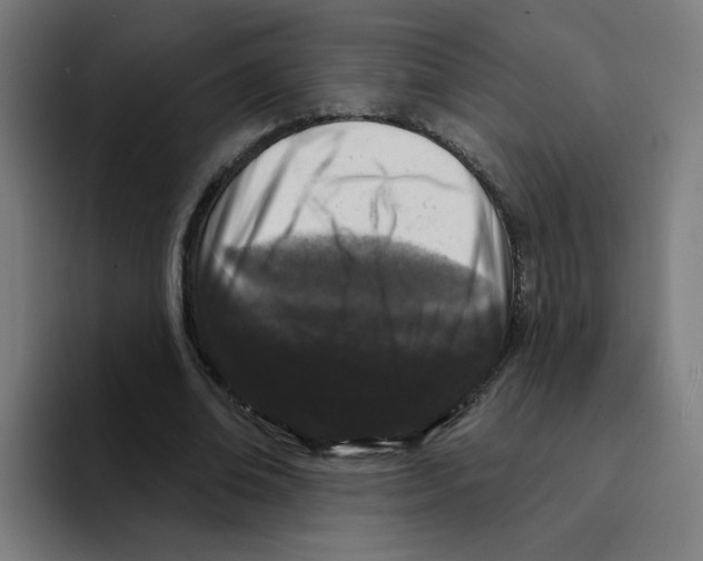 X0000094940678200712271613