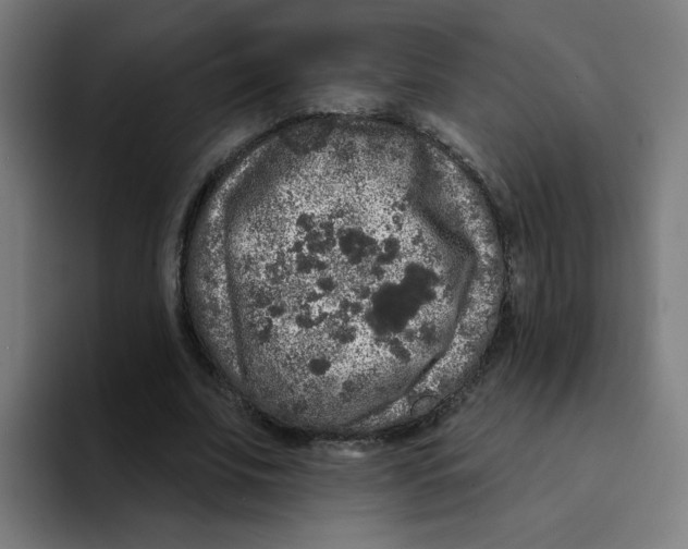 X0000094940679200712271613