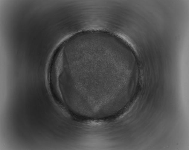 X0000094940680200712271613