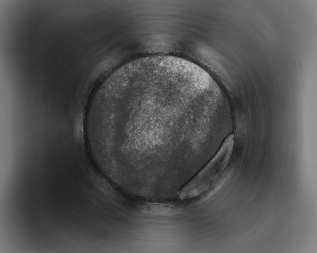 X0000094940681200712271613