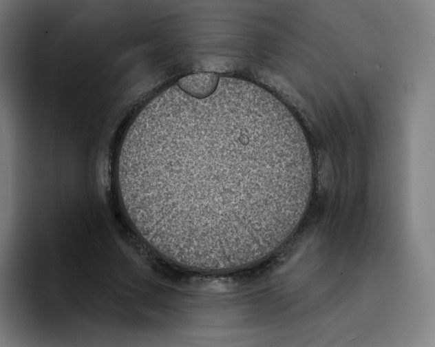 X0000094940683200712271613
