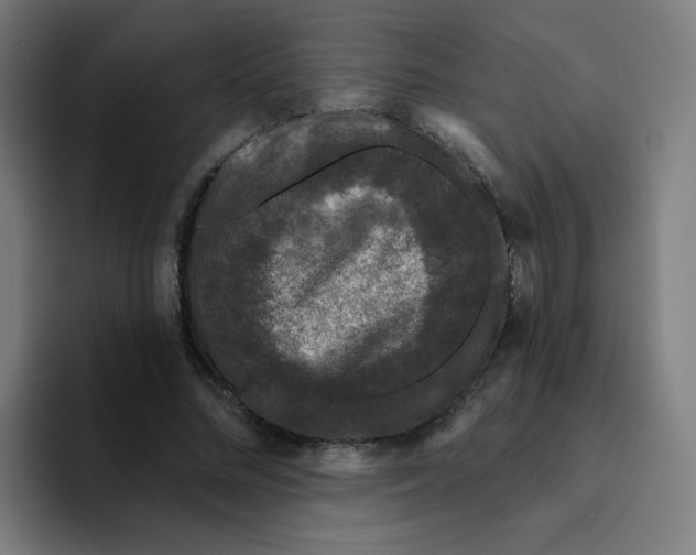 X0000094940684200712271613