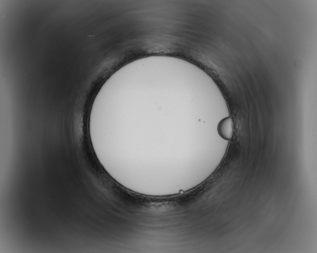 X0000094940686200712271613