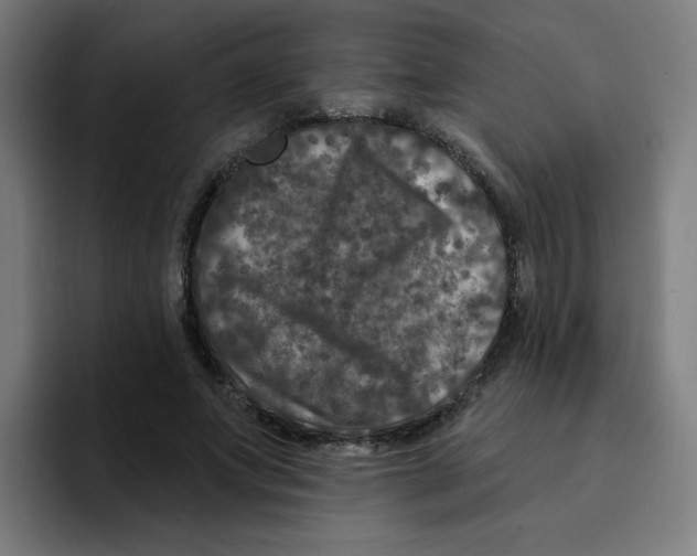 X0000094940687200712271613