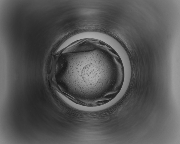 X0000094940688200712271613