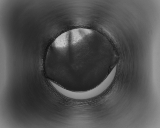 X0000094940689200712271613