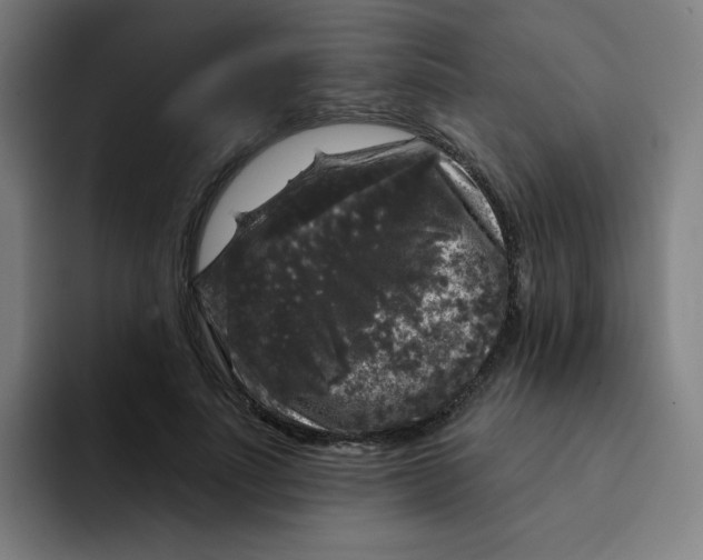 X0000094940691200712271613