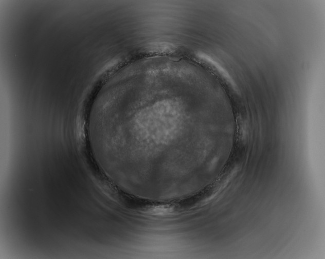 X0000094940692200712271613