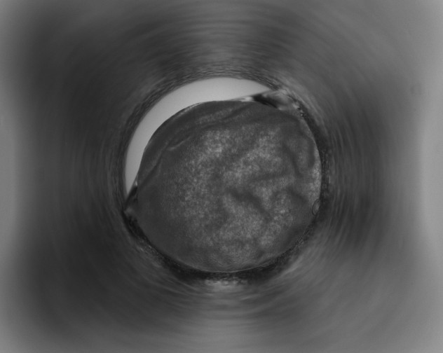 X0000094940693200712271613