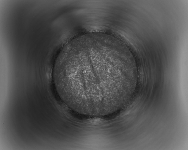 X0000094940695200712271613