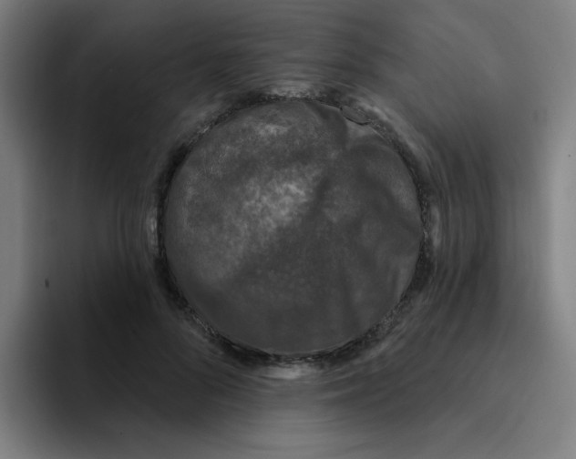 X0000094940696200712271613