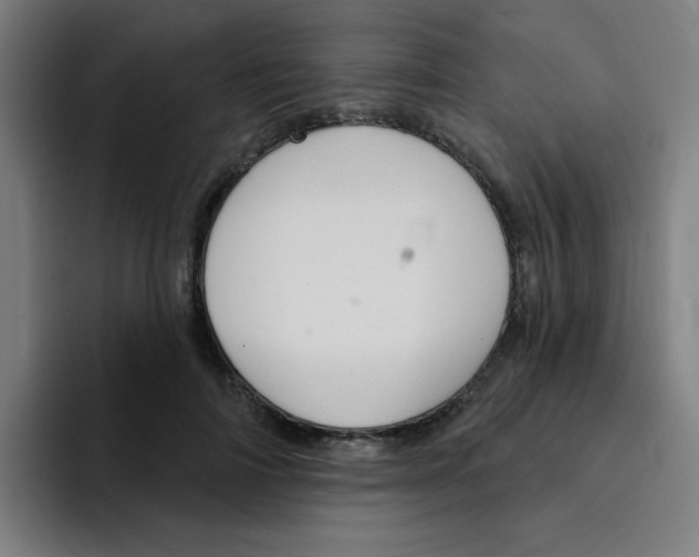 X0000094940698200712271613