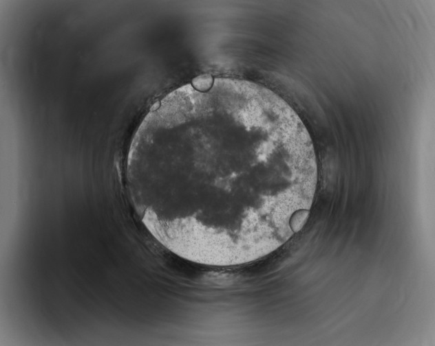 X0000094940699200712271613