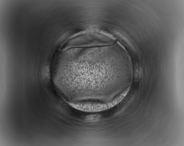 X0000094940700200712271613