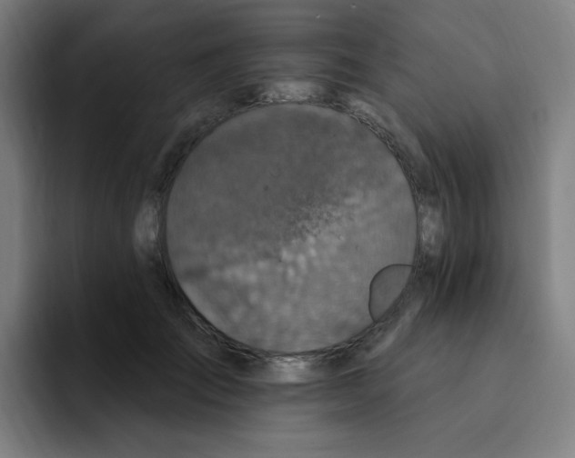 X0000094940701200712271613
