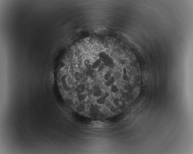 X0000094940703200712271613