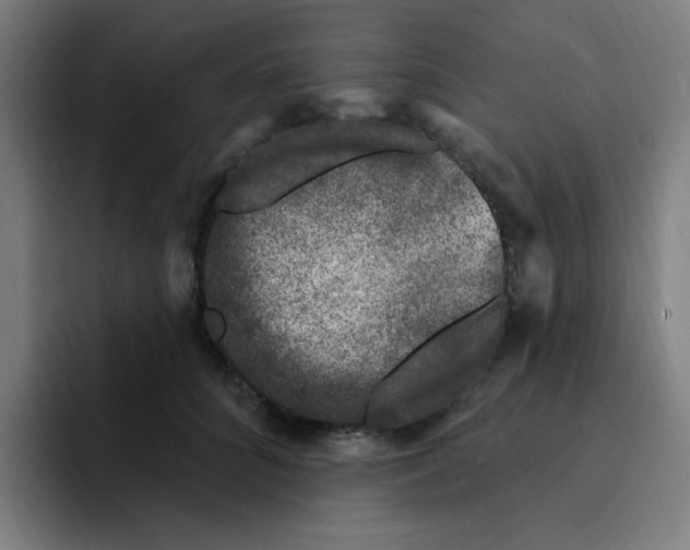X0000094940704200712271613
