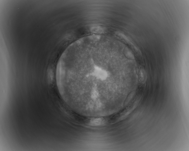 X0000094940705200712271613