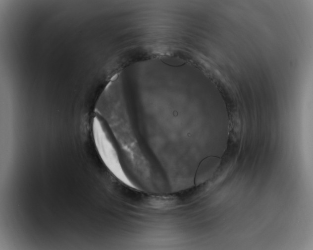 X0000094940707200712271613