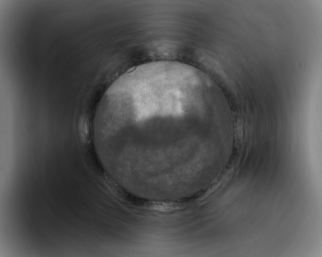 X0000094940709200712271613