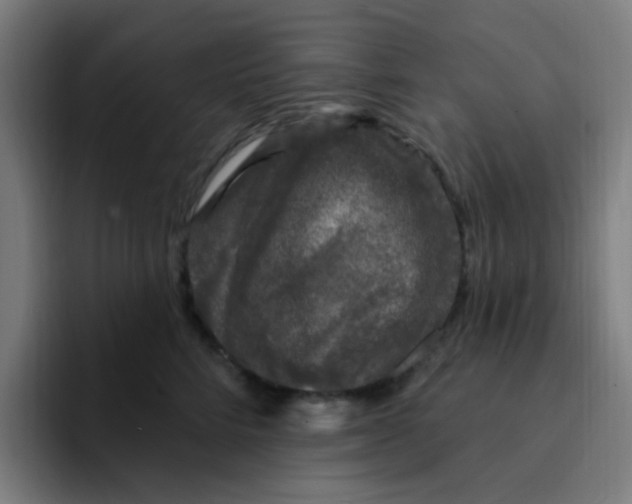 X0000094940712200712271613