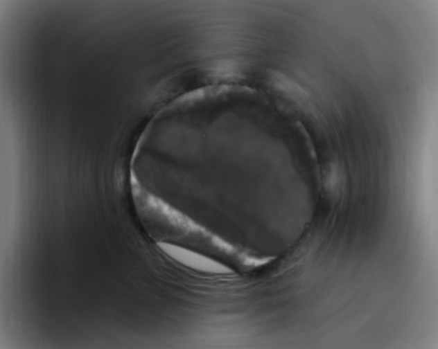 X0000094940715200712271613