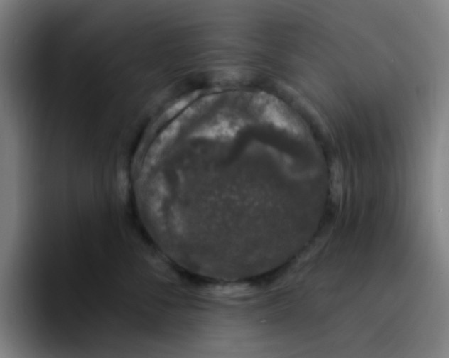 X0000094940716200712271613