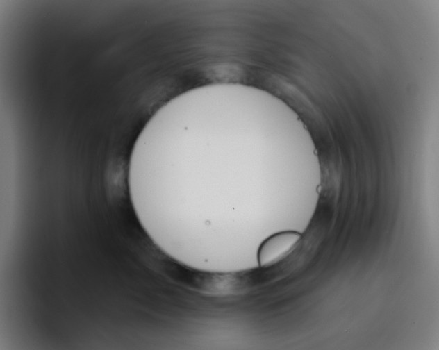 X0000094940717200712271613