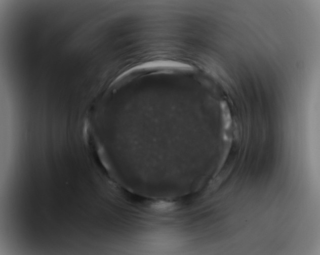 X0000094940718200712271613