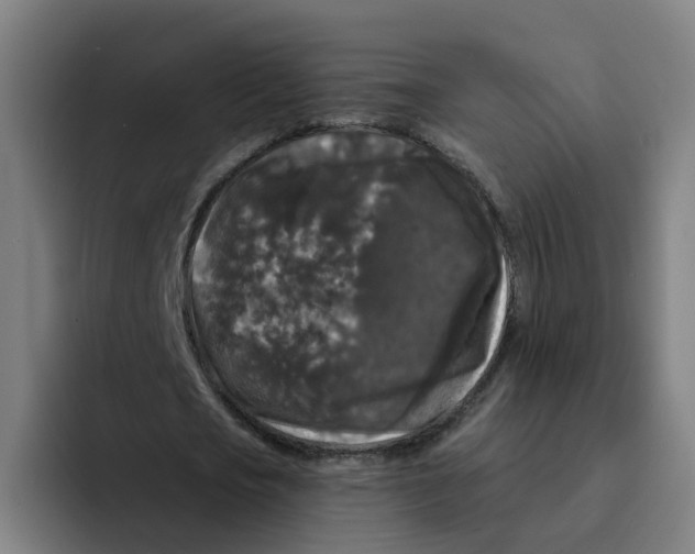X0000094940721200712271612