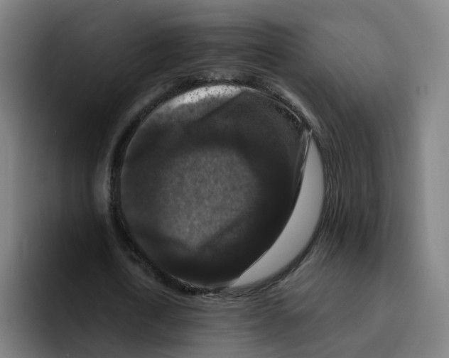 X0000094940722200712271612