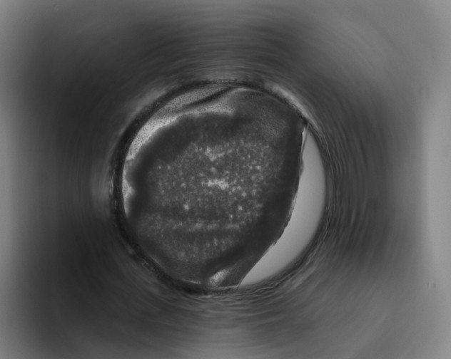 X0000094940723200712271612
