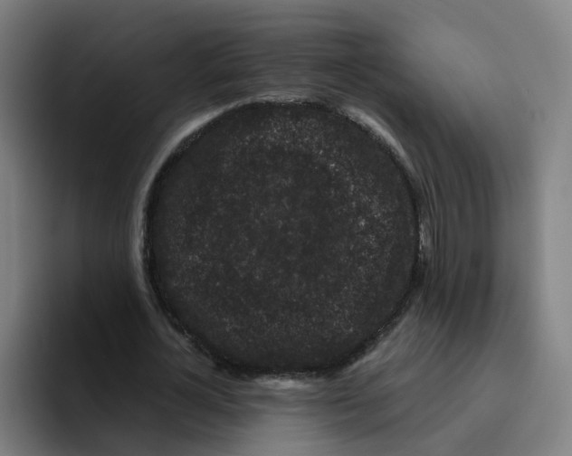 X0000094940724200712271612