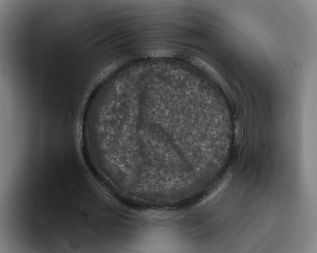 X0000094940725200712271612