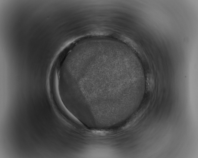 X0000094940726200712271612