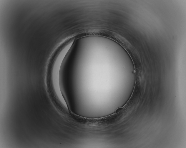 X0000094940728200712271612