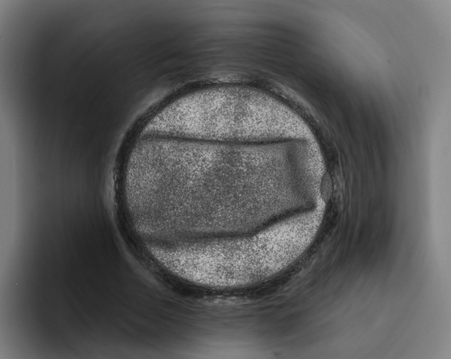 X0000094940730200712271612