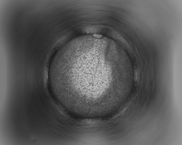 X0000094940733200712271612