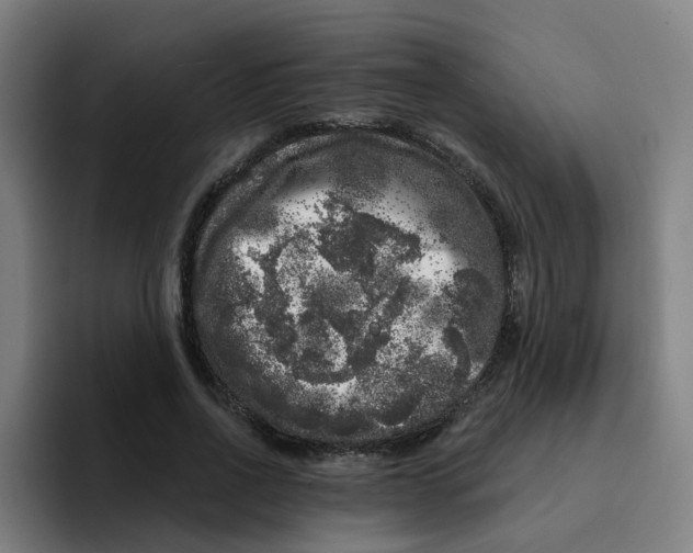 X0000094940734200712271612
