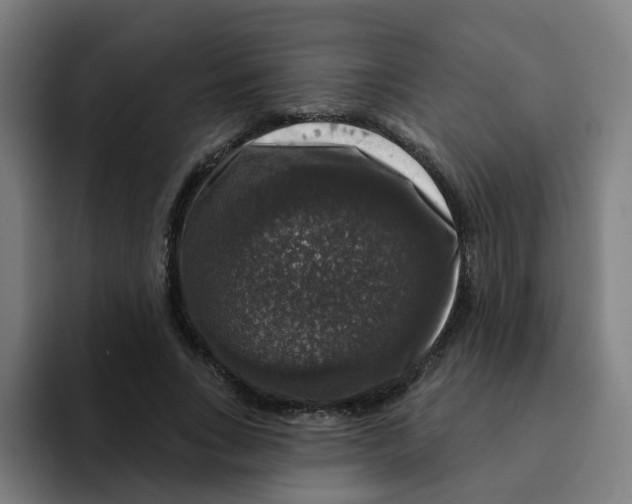 X0000094940735200712271612