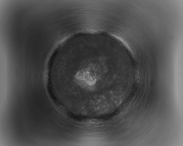 X0000094940736200712271612