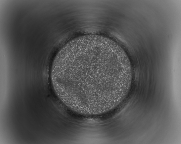 X0000094940737200712271612