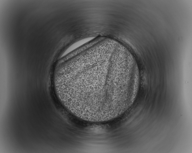 X0000094940738200712271612