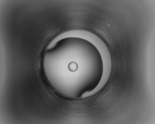 X0000094940740200712271612