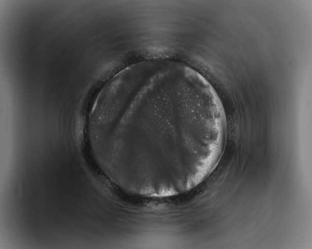 X0000094940742200712271612