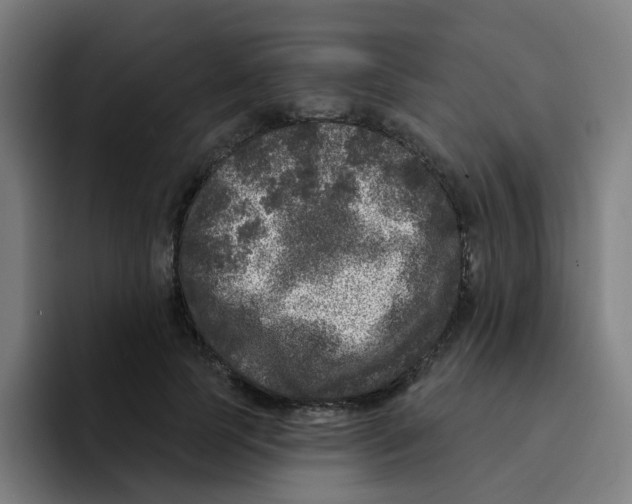 X0000094940745200712271612