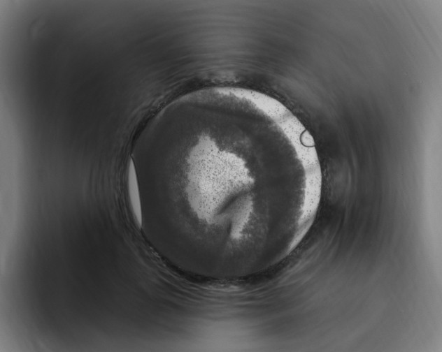 X0000094940747200712271612