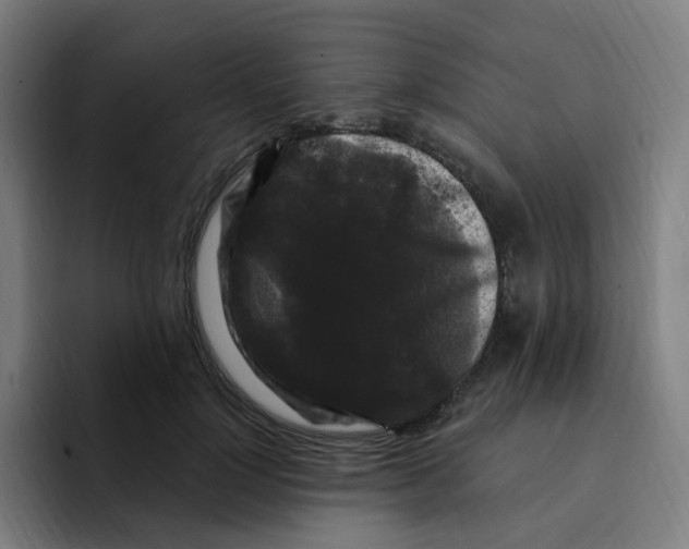 X0000094940748200712271612