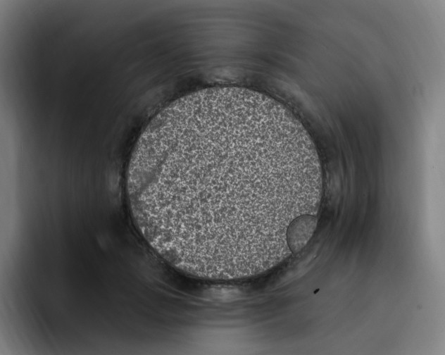 X0000094940749200712271612