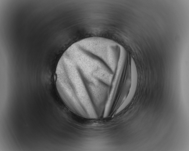 X0000094940750200712271612